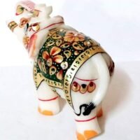 WhatsApp Image 2020-10-09 at 11.49.36 AM (1)