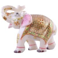 WhatsApp Image 2020-10-09 at 11.49.36 AM