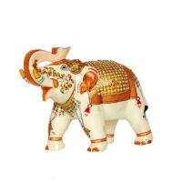 WhatsApp Image 2020-10-09 at 11.49.38 AM